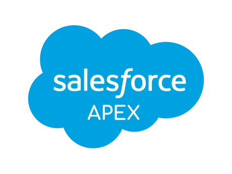 Salesforce Partner